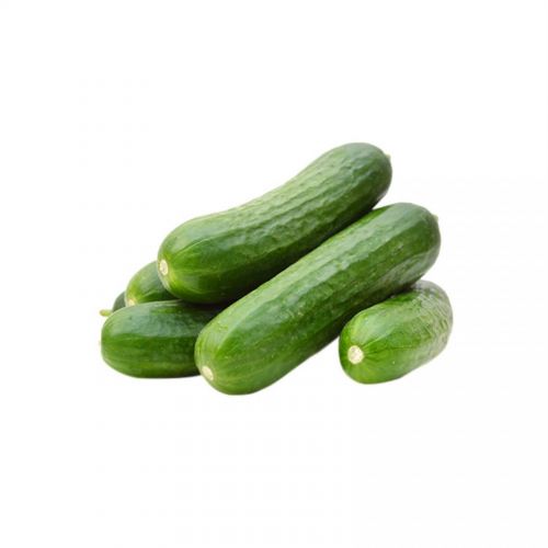 Αγγουράκια